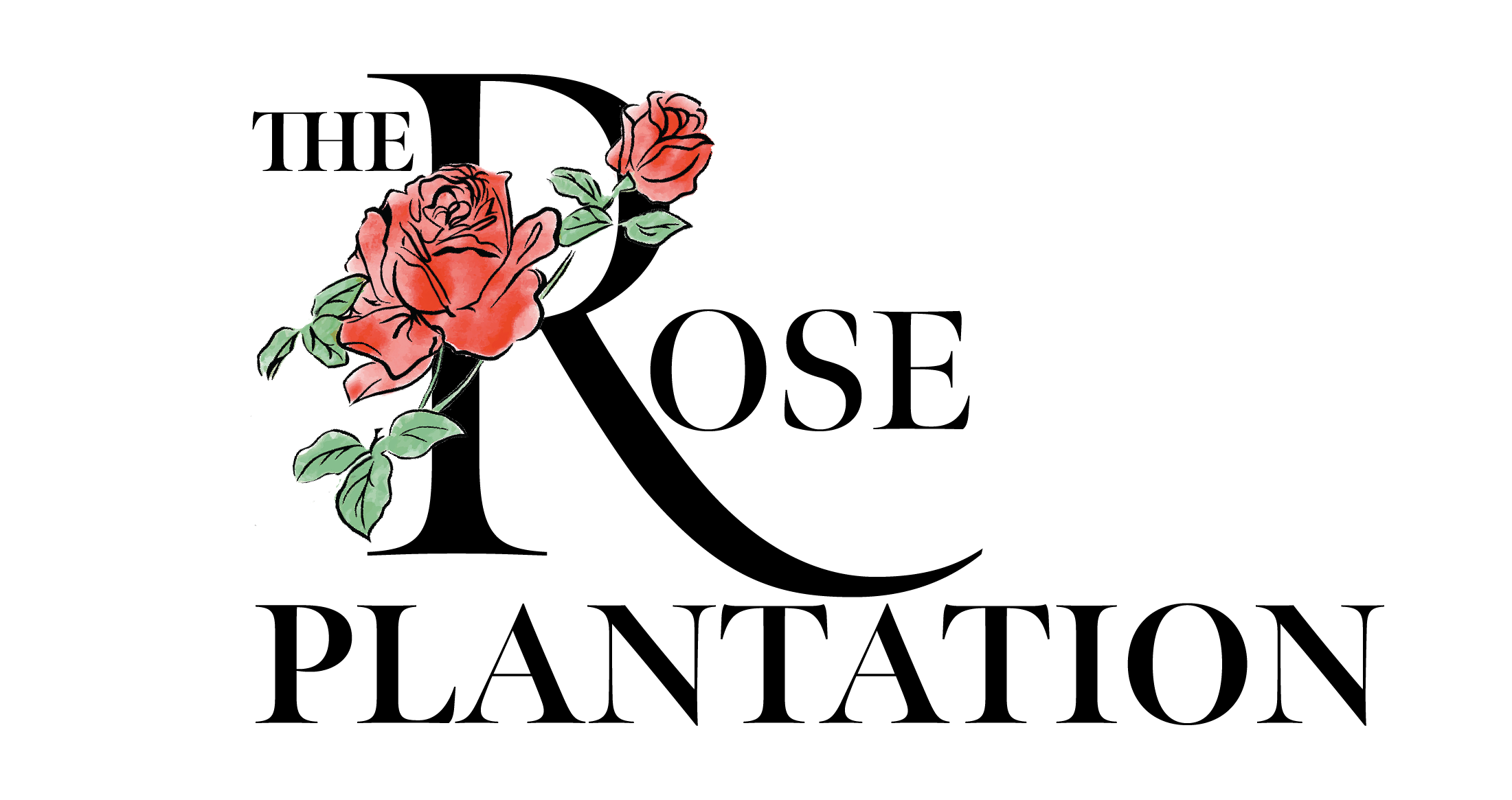 /shared/superadmin/content/images/dynamic/deal/9005391/offer-image-9005391-khL7nlCxBq-1728912670.png